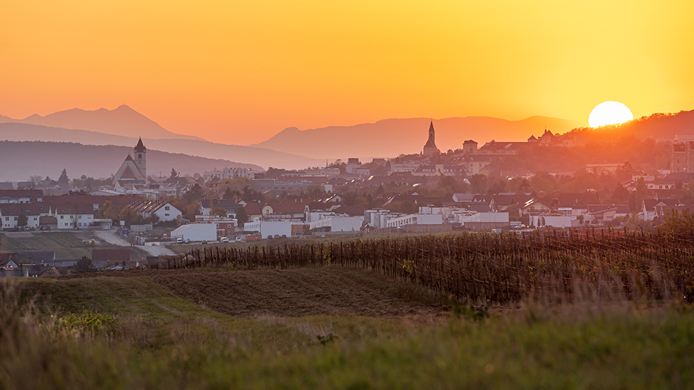 The sun is setting in the orange sky, warm light is filling the horizon, illuminating a small town behind a vineyard in the foreground